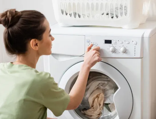 laundry lady image